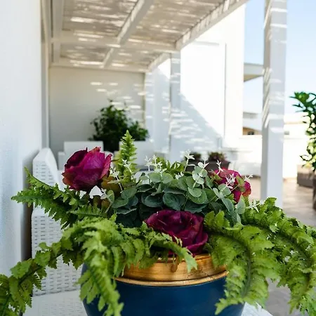 Minerva Bed & Breakfast 4*